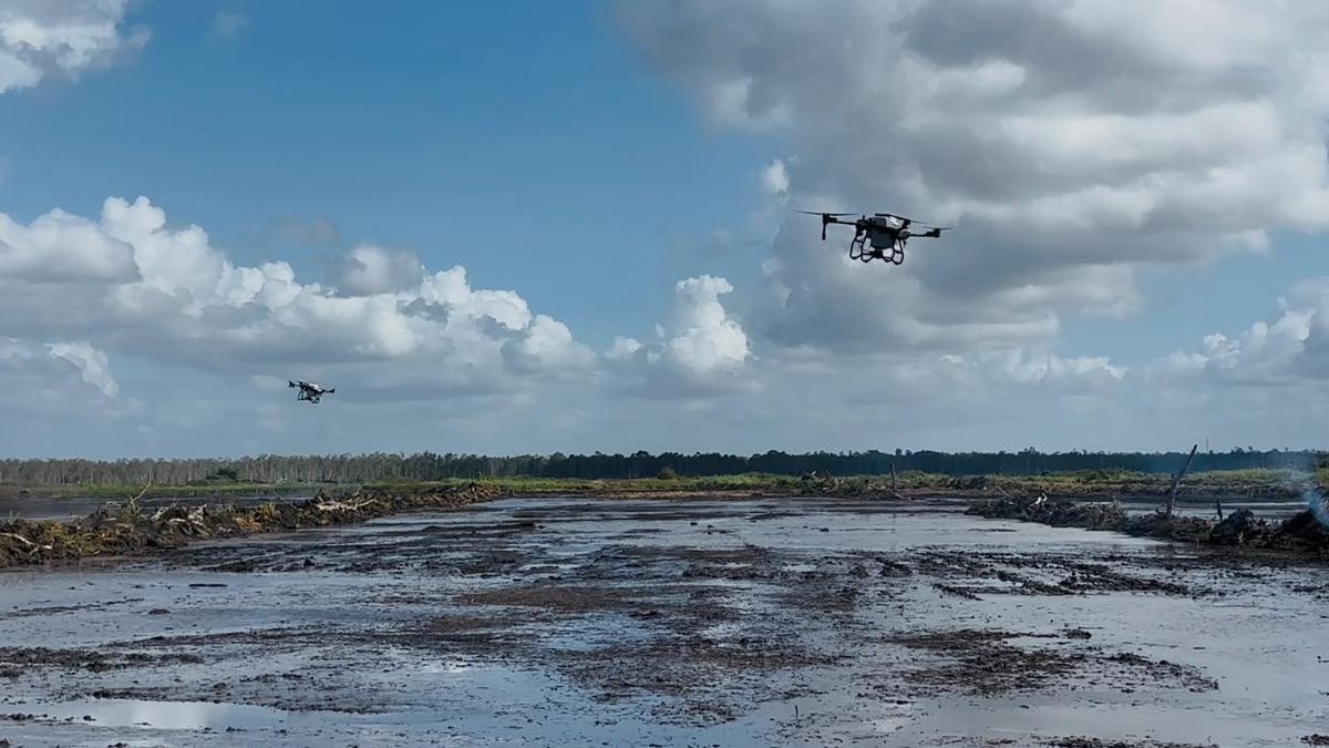 Menguji Kecanggihan Drone Sawah, Pangkas Bertani Seharian Jadi 8 Menit