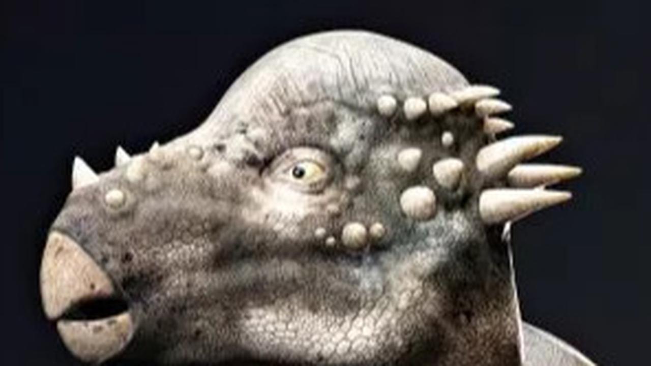 Dua Spesies Baru Dinosaurus Ditemukan, Kepalanya Berbentuk Kubah dan Banyak Tonjolan Tajam