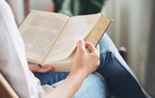 100 Kata Kata Mutiara untuk Pojok Baca yang Menginspirasi