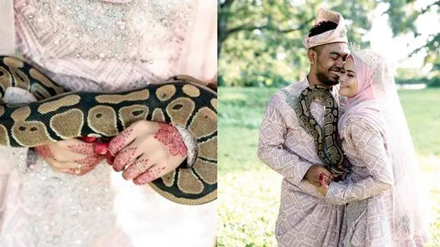 6 Prewedding Ekstrem Tema Ular Ini Bikin Merinding, Enggak Habis Pikir