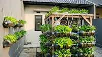 7 Ide Kebun Sayur dari Galon Bekas untuk Belakang Rumah Subsidi Ukuran 2x3 Meter yang Praktis