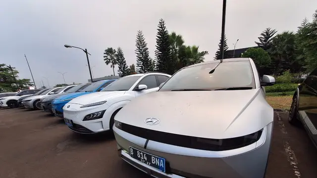 Komunitas Mobil Listrik Terus Menjamur di Indonesia (ist)