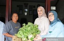 TP PKK Babel Sukses Kembangkan Kebun Digital, Panen Perdana Berkah untuk Masyarakat