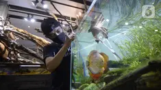 Pekerja menyelesaikan pembuatan aquascape air tawar di Nickz Aquascape, Serpong, Tangerang Selatan, Banten, Selasa (20/10/2020). Pada masa pandemi saat ini, pemesanan aquascape meningkat hingga 80 persen. (merdeka.com/Dwi Narwoko)