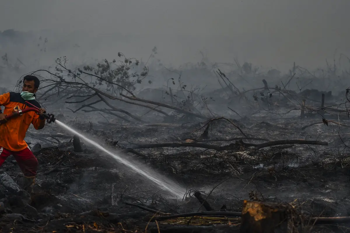 Perjuangan Petugas Padamkan Kebakaran Hutan Riau