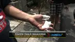 Korban dan pemilik rumah merupakan pensiunan TNI dan memiliki ilmu bela diri.