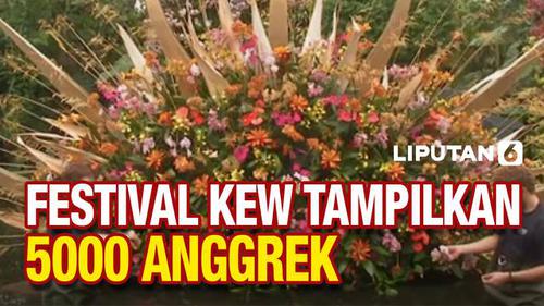 VIDEO: Melihat Indahnya 5000 Anggrek Kosta Rika di Festival Kew London