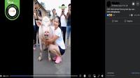 Gambar tangkapan layar&nbsp;video yang diklaim penampakan hewan hasil kloning babi dengan sapi di China. (sumber: Facebook)