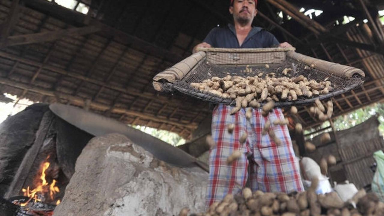Usai Lebaran, pembuat kacang sangrai raup untung berlipat