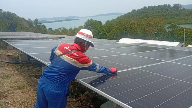 Mengintip proyek PLTS 0,8 hektare di Pulau Sembur, Kecamatan Galang Baru, Batam. (Liputan6.com/Ajang Nurdin).