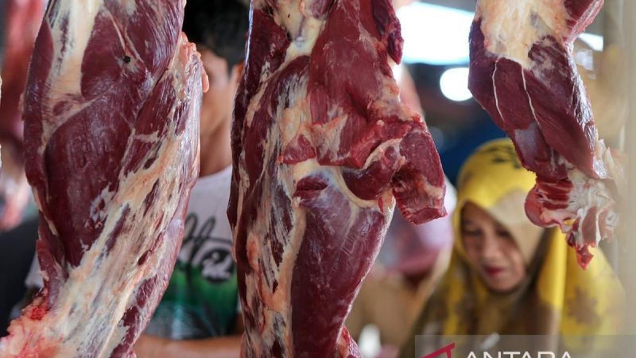 Dampak Pemangkasan Kuota Impor Daging Sapi: Industri Pengolahan Daging Terancam Krisis Pasokan dan Kenaikan Harga