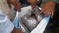 Dua karung ganja sintetis ditemukan di Bogor. (Liputan6.com/Achmad Sudarno)