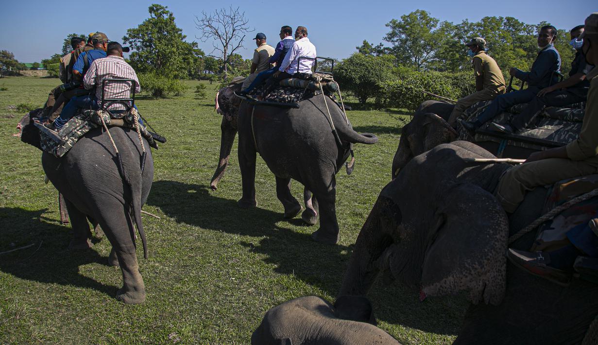 Turis menunggangi gajah di suaka margasatwa Pobitora, pinggiran Gauhati, India, Selasa (10/11/2020). Suaka yang terkenal dengan populasi badak bercula satu di India tersebut dibuka kembali untuk wisatawan setelah ditutup selama lebih dari 6 bulan akibat pandemi corona. (AP Photo/Anupam Nath)