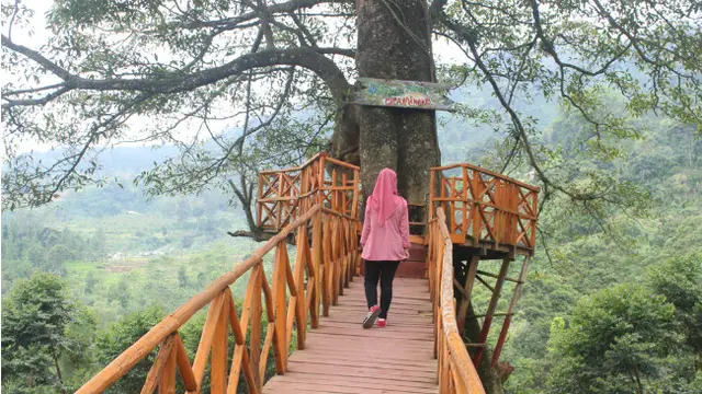 Curug Cipamingkis