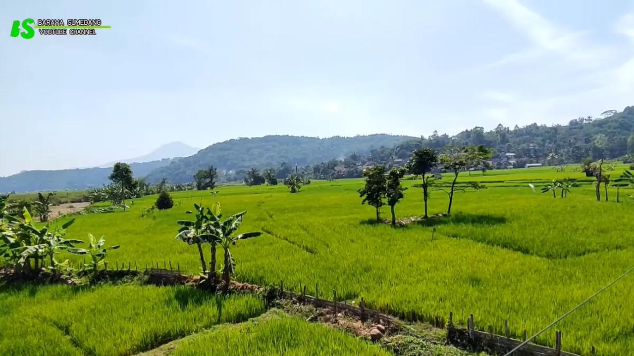 Dikelilingi bukit