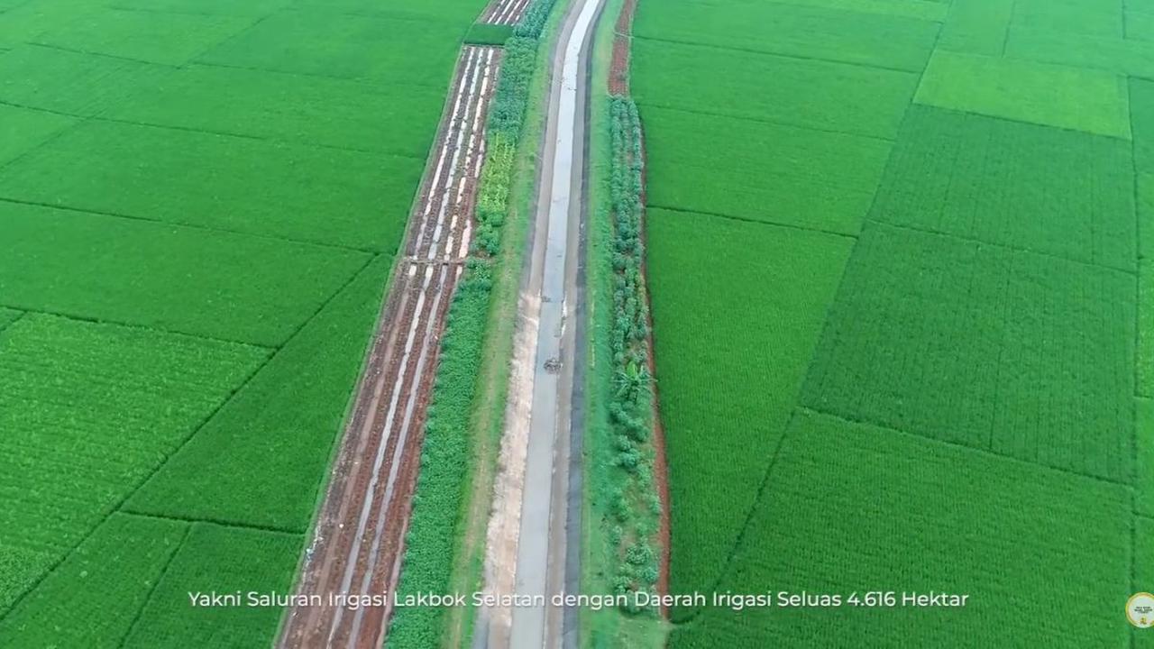 Bersantai di Taman Pinggir Bendungan sambil Melihat Sawah
