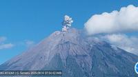 Gunung Semeru Erupsi (AntaraNews)