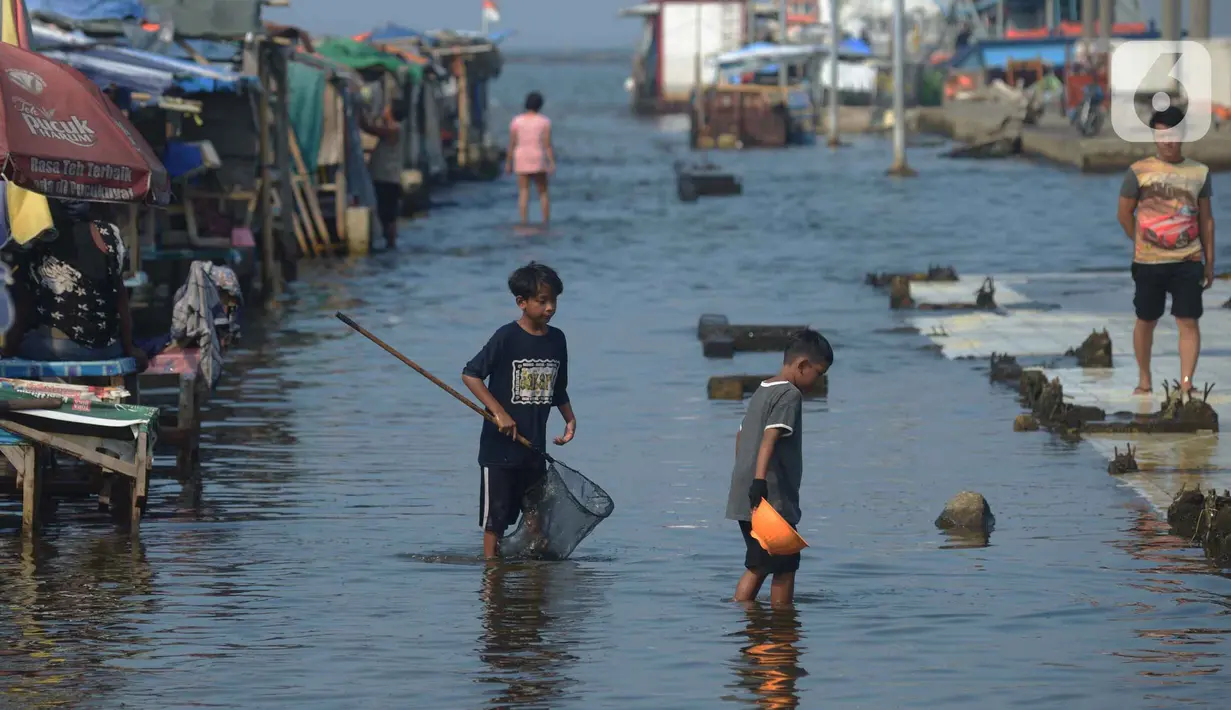 Anak-anak mencari ikan saat banjir rob di Pelabuhan Kali Adem, Muara Angke Jakarta, Rabu (5/1/2022). Menurut BMKG, adanya fase bulan baru yang bersamaan dengan masa Perigee (jarak terdekat bulan bumi) menyebabkan peningkatan signifikan ketinggian pasang air laut. (merdeka.com/Imam Buhori)