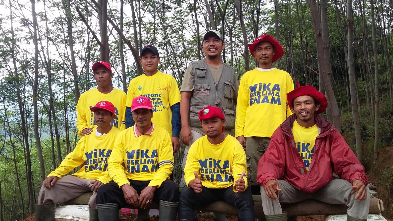 Budidaya Pohon Sengon  &amp; Jahe Merah CSR Wijaya Karya