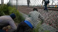 Imigran gelap ketika berusaha melewati pagar keamanan terminal Eurotunnel di Coquelles dekat Calais di Prancis, 29 Juli 2015. Ribuan imigran tersebut mencoba memasuki Terowongan Channel menuju Inggris melalui Prancis. (REUTERS/Pascal Rossignol)