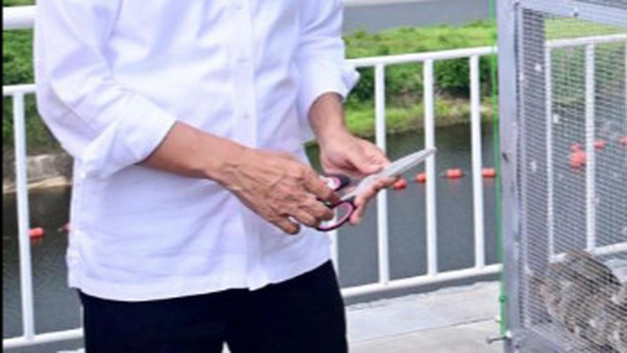 Diresmikan Jokowi, Bendungan Karian di Banten Pasok Kebutuhan Air serta Jakarta