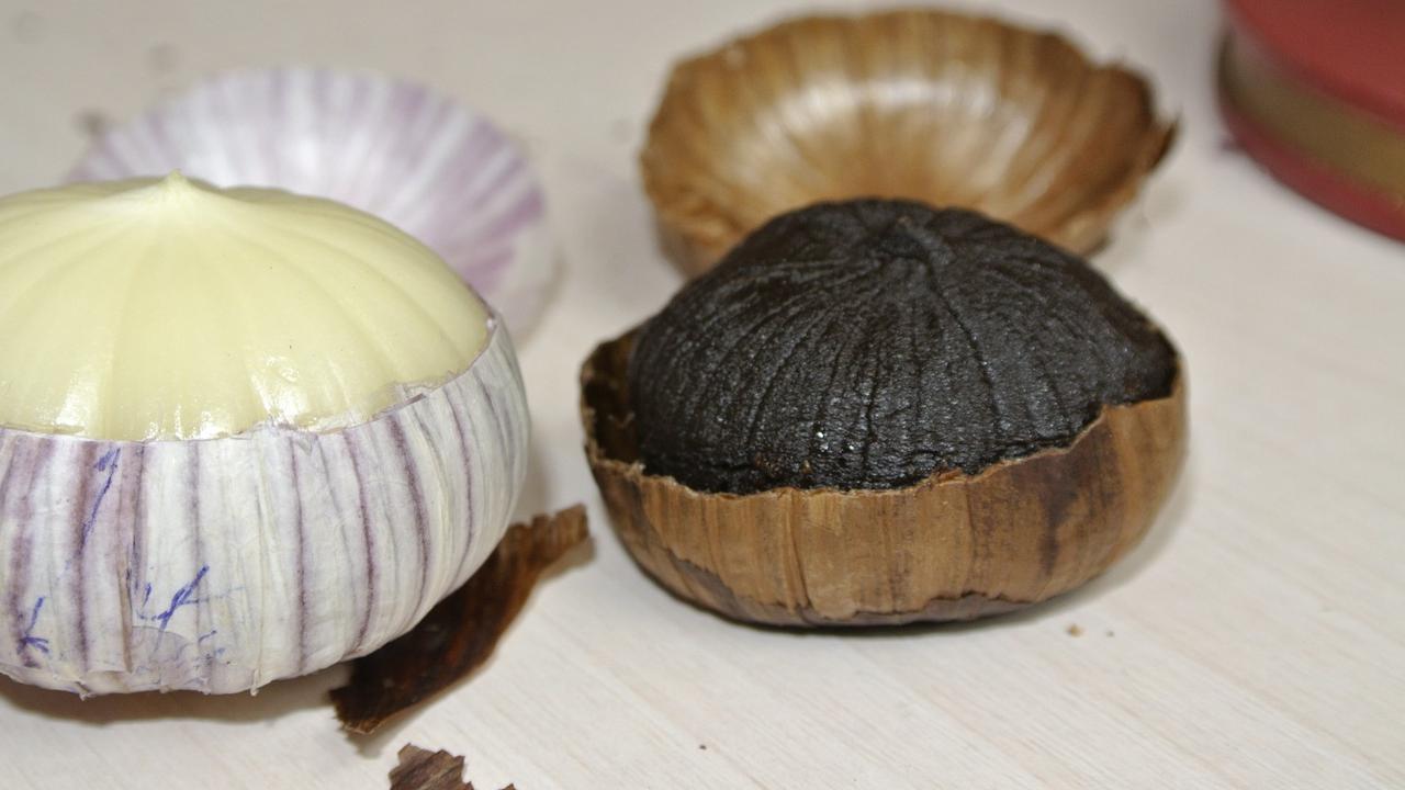 Manfaat Bawang Lanang atau Bawang Putih Tunggal untuk Mengatasi Masalah Kolesterol