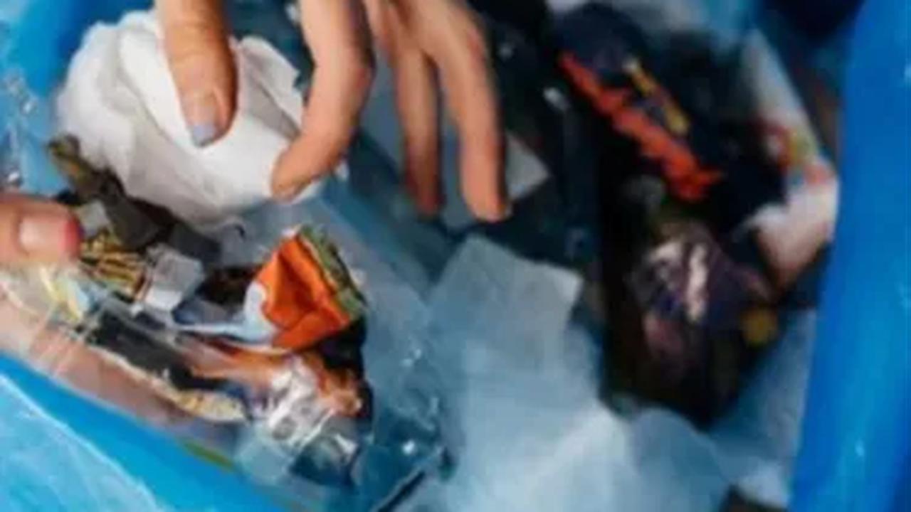 Pemanfaatan RDF juga disebut membantu perusahaan mendapatkan sumber energi alternatif yang ramah lingkungan dan memberikan manfaat ekonomi secara berkelanjutan melalui prinsip ekonomi sirkular.