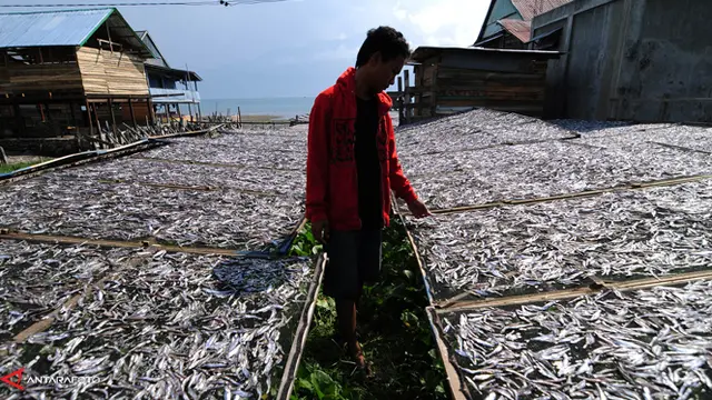 teri-ikan-131018b.jpg