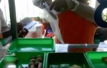 Permen Semprot Sebabkan Pelajar Mual dan Kejang sudah Kedaluwarsa tapi BPOM Sebut Masih Boleh Beredar, Ini Alasannya