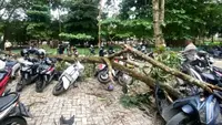 Pohon Tumbang Timpa Deretan Sepeda Motor Mahasiswa, Ada yang Ringsek Tak Bisa Dipakai