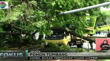 Hujan deras disertai badai di jawasan Menteng, Jakarta Pusat mengakibatkan pohon tumbang hingga merusak mobil mewah.