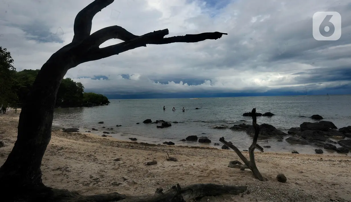 Suasana Pantai Bama, Taman Nasional Baluran, Situbondo, Jawa Timur, Sabtu (29/4/2023). (merdeka.com/Arie Basuki)