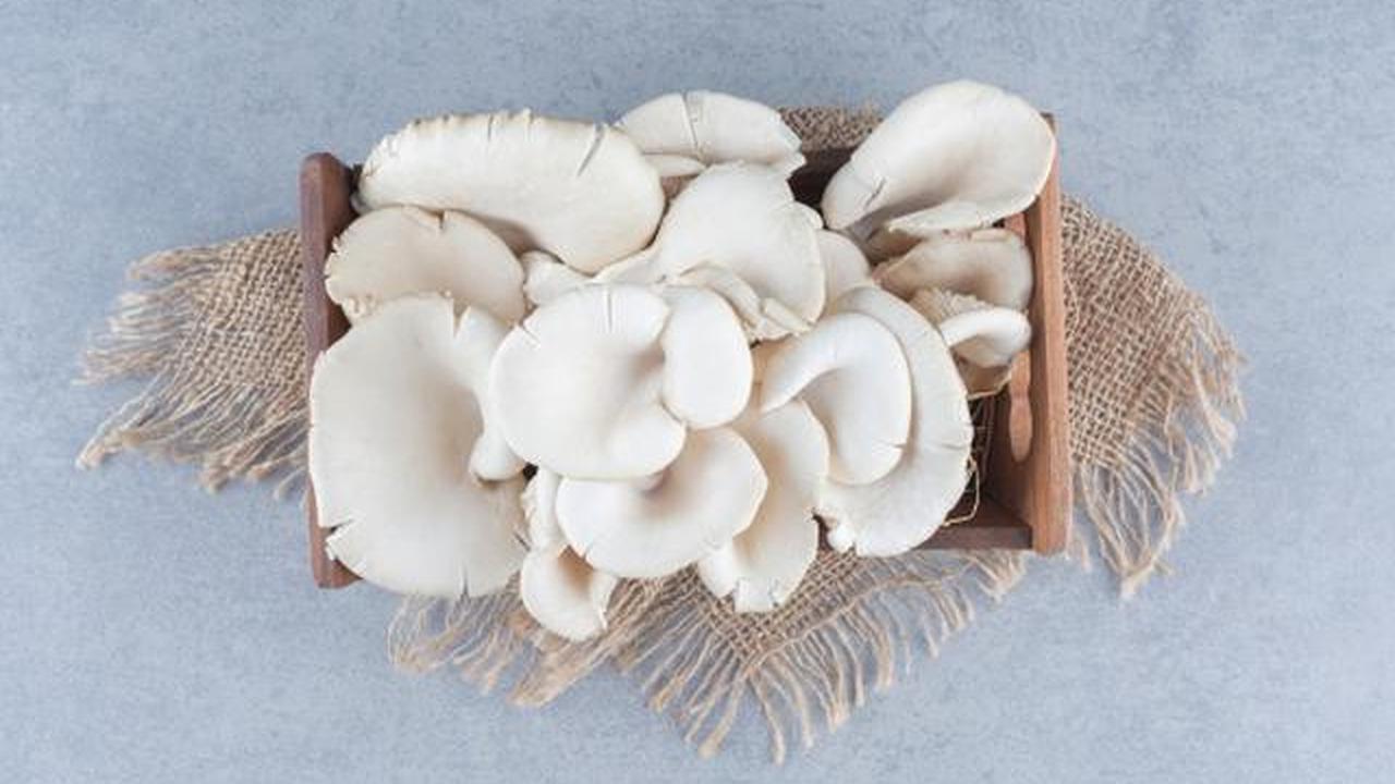 5 Cara Menyimpan Sayur agar Segar Hingga Seminggu, Anti Layu dan Hemat Uang