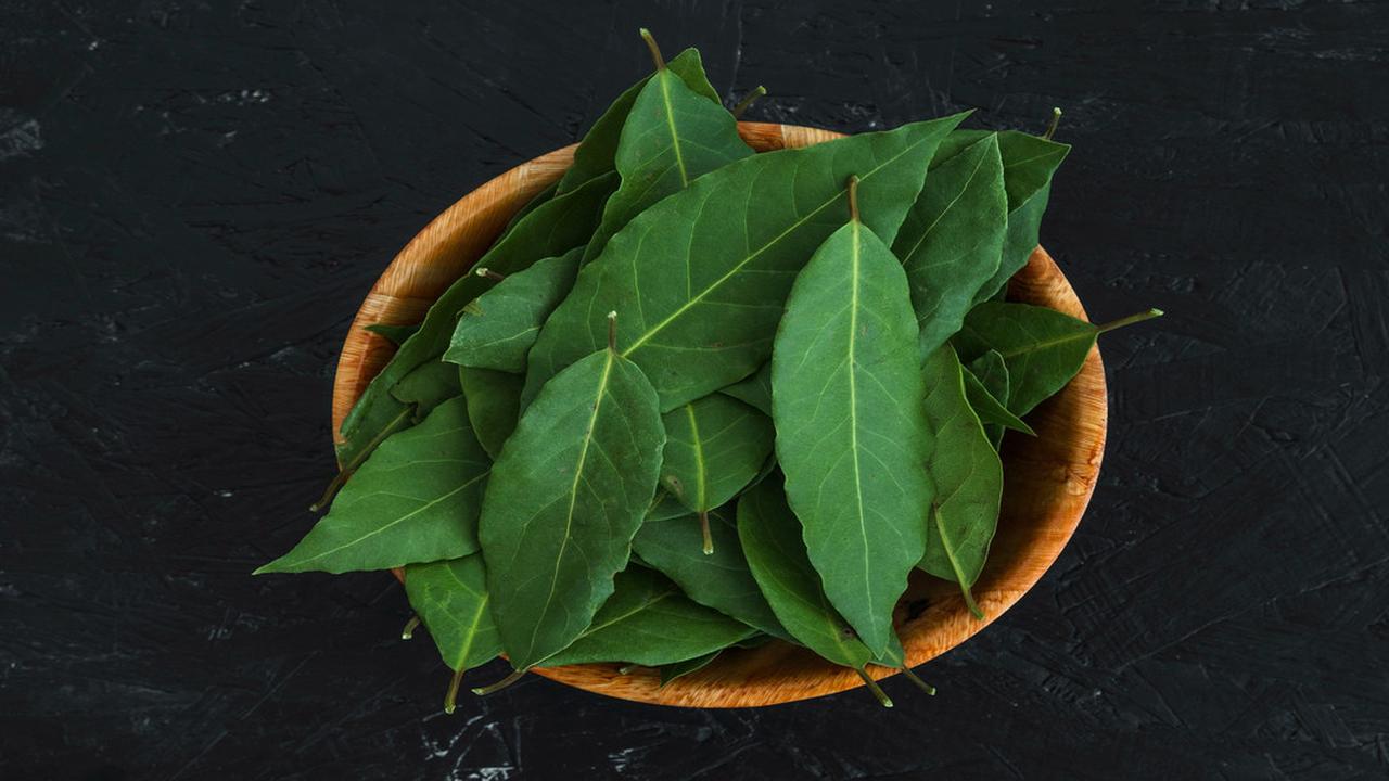 8 Manfaat Daun Salam untuk Kolesterol, Obat Tradisional Indonesia Sejak Lama
