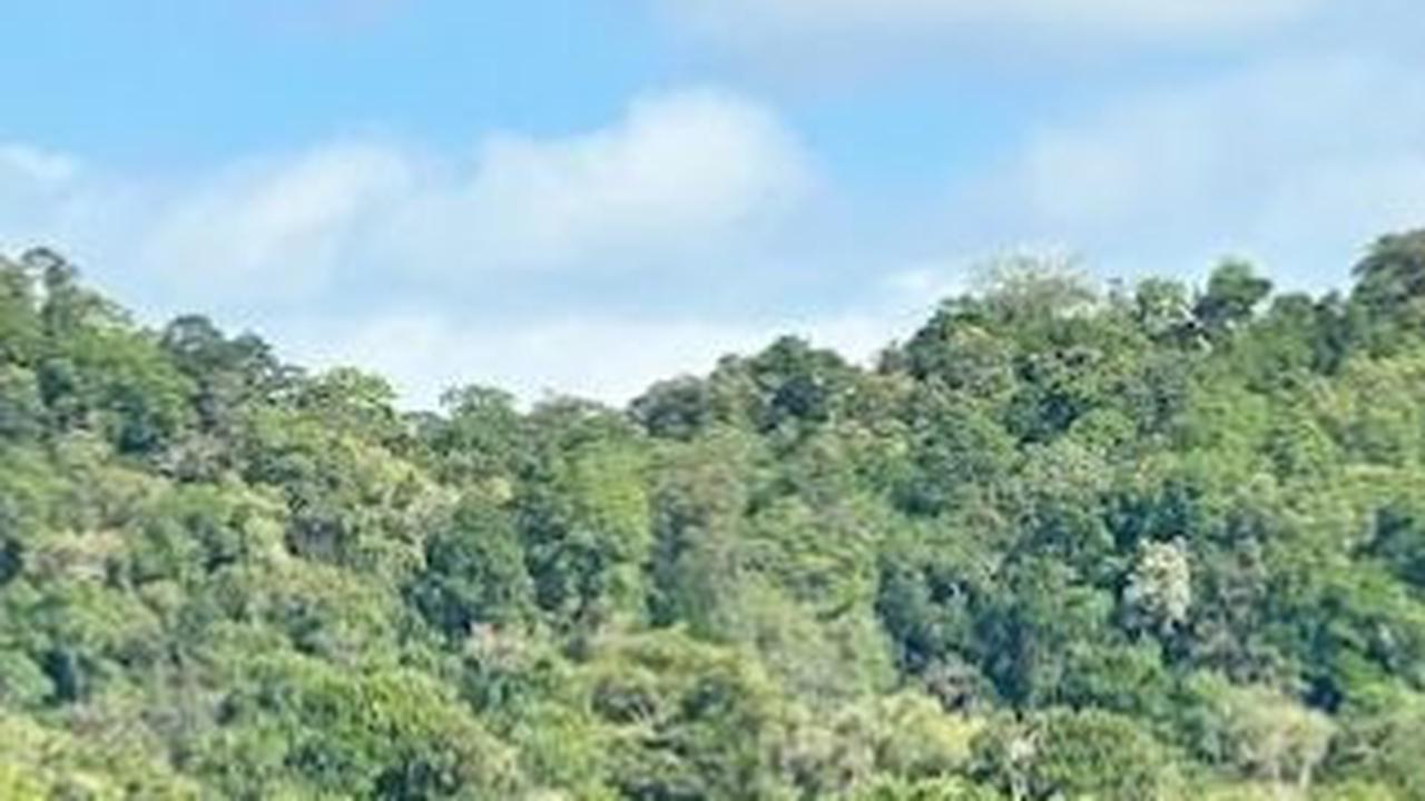 7. Taman Nasional Alas Purwo<br>