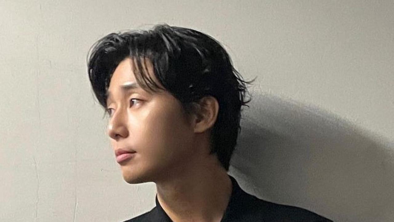 Selintas Profil Park Seo Joon
