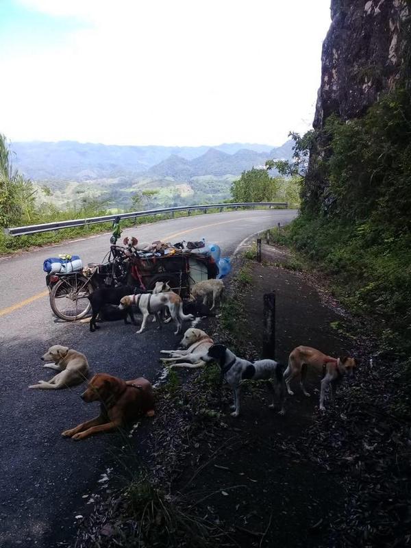Sikap mulia yang dilakukan pria asal Meksiko ini adalah dengan memungut dan merawat anjing-anjing liar yang terlantar di jalan sambil berkeliling dunia.