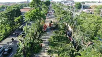 Perantingan pohon di Jalan Ahmad Yani, Surabaya, Jawa Timur. (Foto: Liputan6.com/Dian Kurniawan)