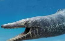 Para Ahli Sepakat Dinocephalosaurus Adalah Reptil Laut, Bahkan Berkembang Biak di Air