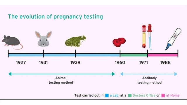 5 Cara Unik Uji Kehamilan Sebelum Ada Test Pack, Pakai Biji Gandum hingga Katak