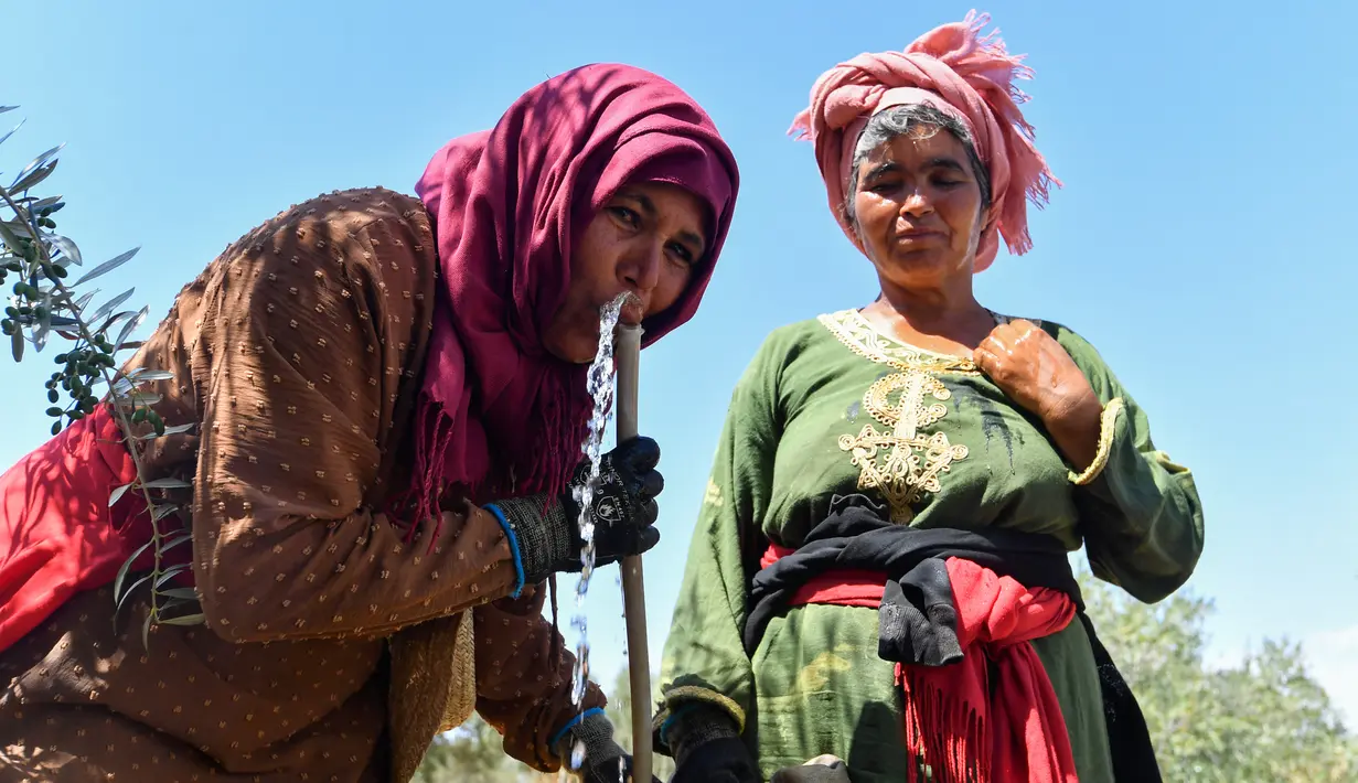 Setengah lainnya sebagian besar bergantung pada sumur yang dibangun oleh asosiasi agraria lokal yang secara resmi bekerja di bawah kementerian pertanian. (FETHI BELAID / AFP)