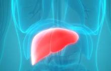 Sejumlah Tanda yang Dirasakan ketika Organ Hati atau Liver dalam Kondisi Sehat