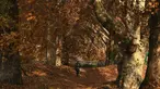 Seorang gadis berjalan melewati pepohonan yang merontokkan daun musim gugurnya di taman Nishat Bagh di Srinagar (16/11/2020). (AFP/Tauseef Mustafa)