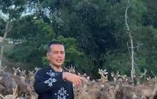 Melihat Penangkaran Rusa Milik Mantan Wagub Tampan, Luas Banget Netizen 'Sultan Sesungguhnya