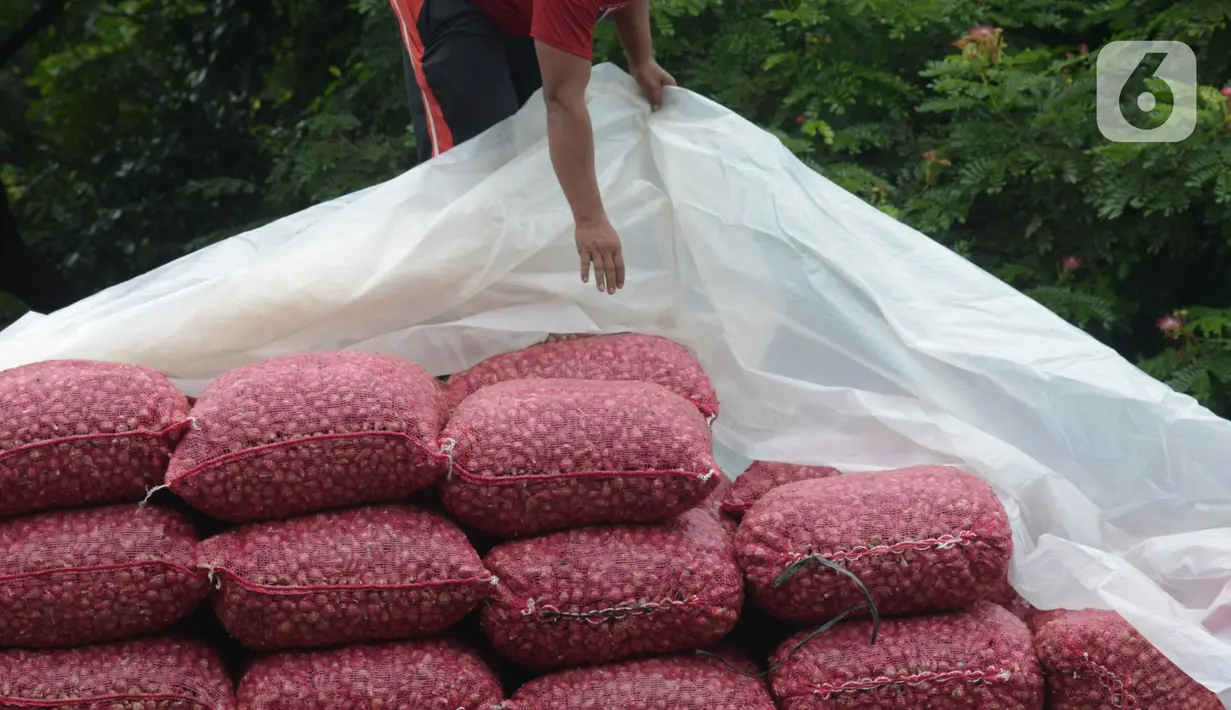 Pedagang merapikan bawang di pasar Induk Kramat Jati, Jakarta, Rabu (7/4/2021).  Semua bahan pangan seperti cabai dan bawang akan stabil jelang puasa Ramadan dan Lebaran Idul Fitri 2021. (merdeka.com/Imam Buhori)