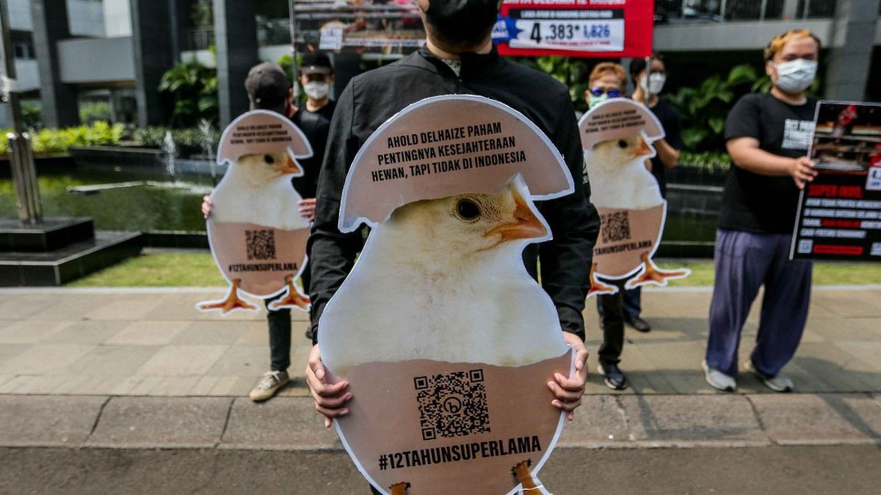 Sejumlah aktivis yang tergabung dalam Act For Farmed Animals (AFFA) menggelar aksi bebas peternakan ayam kandang baterai dengan membawa poster di kawasan Menteng Dalam, Jakarta, Kamis (27/7/2023).