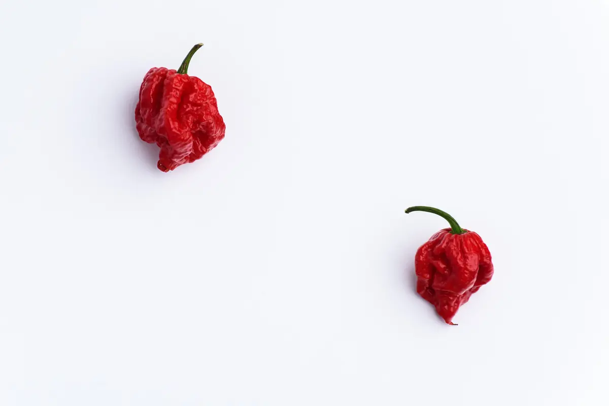 Salah satu cabai terpedas di dunia, carolina reaper. (iStockphoto)