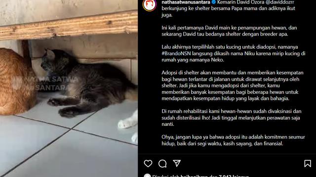 David Ozora Adopsi Kucing dan dikerumuni Anjing-anjing Shelter, Kampanyekan #AdoptDontShop
