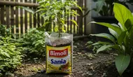 8 Inspirasi Berkebun Hemat Tanpa Membeli Pot Tanaman, Murah dan Cocok untuk Semua Jenis Halaman