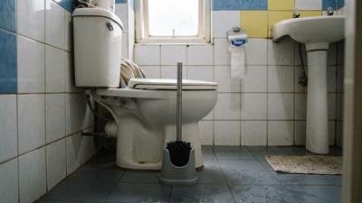 Seberapa Sering Sikat Toilet Harus Diganti? Kenali Cirinya yang Sering Diabaikan